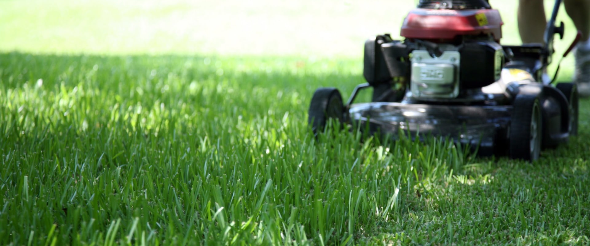What are lawn mowers called?