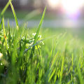 What is difference between lawn tractor and mower?