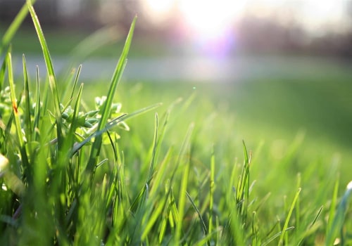 What is difference between lawn tractor and mower?